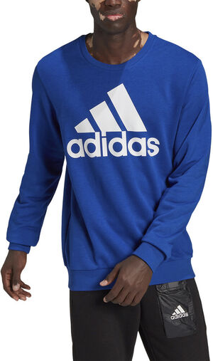 Essentials Big Logo sweatshirt