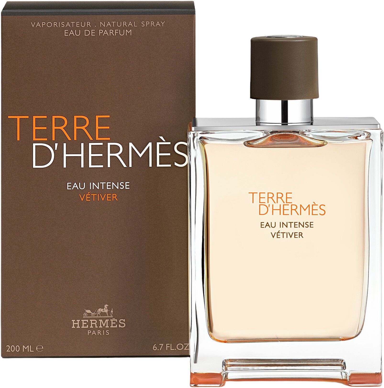 TERRE D'HERM&Egrave;S EAU INTENSE V&Eacute;TIVER EAU DE PARFUM