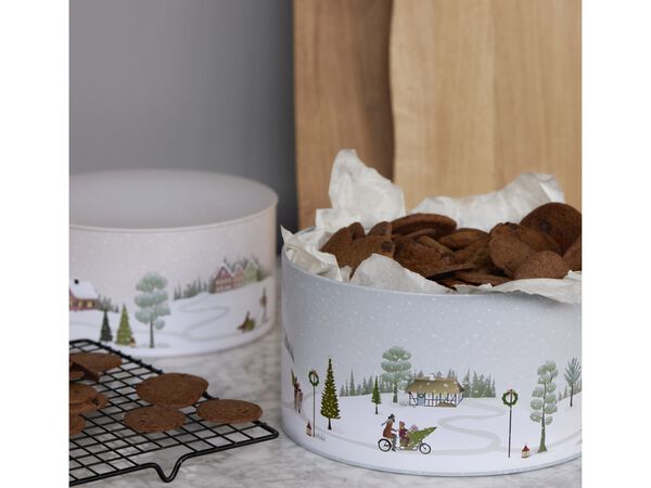 Kagedåsesæt Vinter 22x12/20x10 cm Arctic Ice/Woodrose Metal