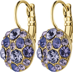 BLOST earring