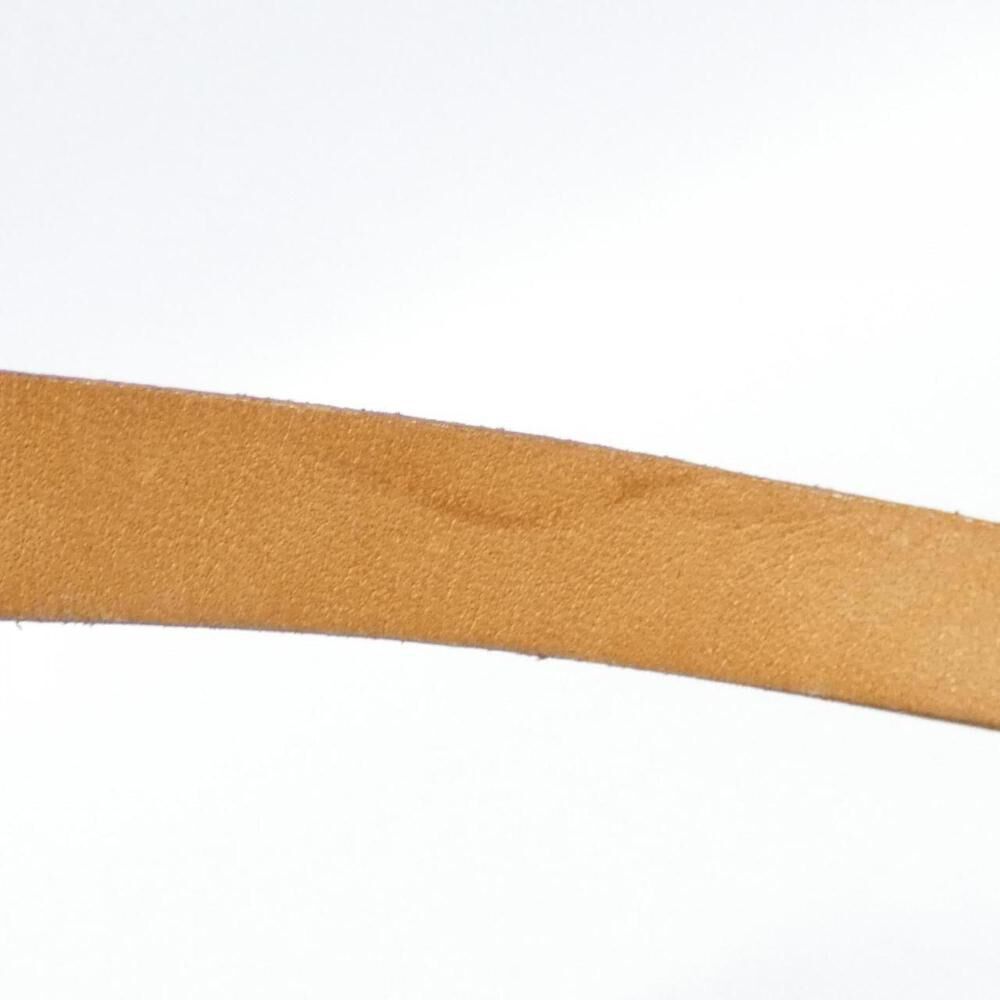 Louis Vuitton Florentine Pochette