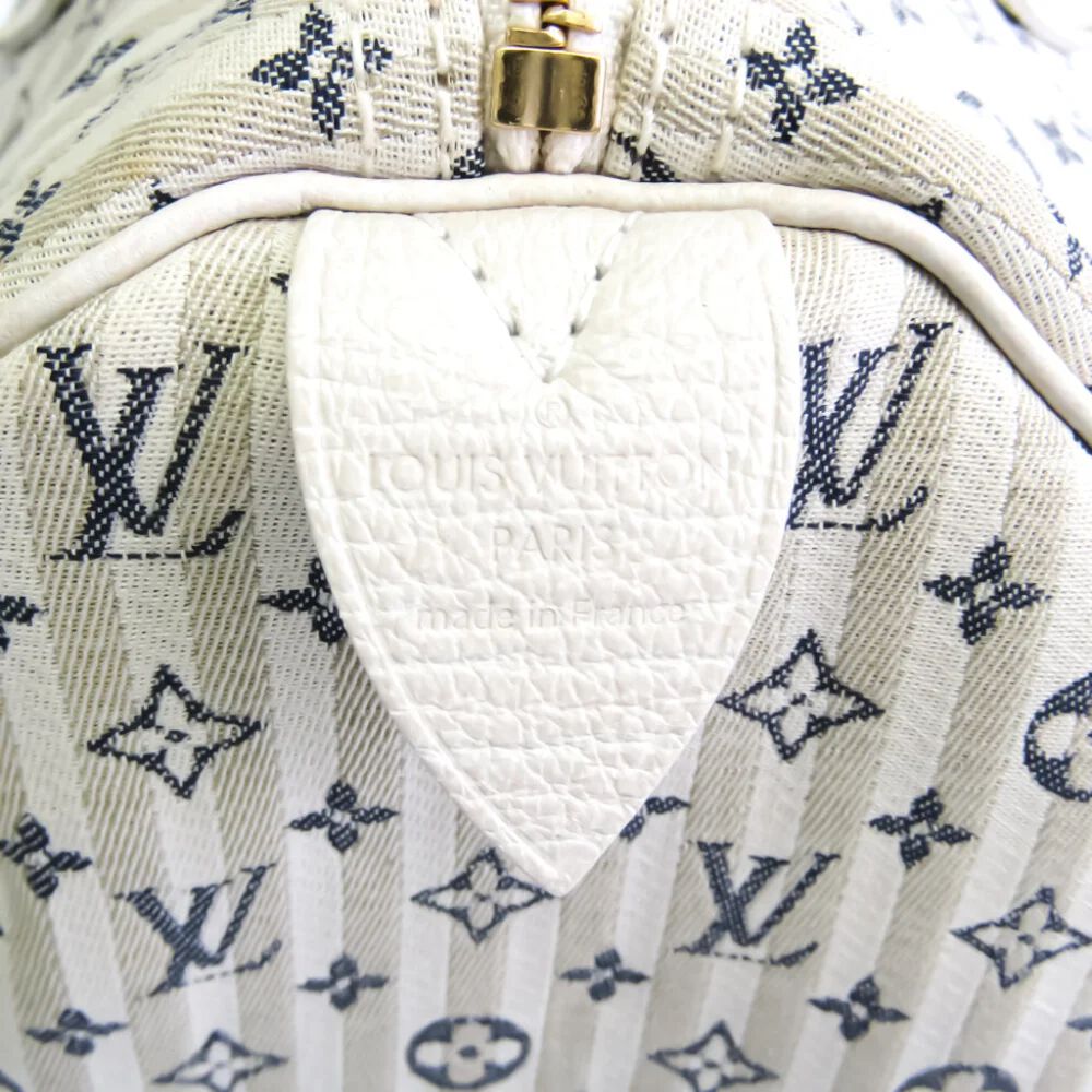 Louis Vuitton Speedy