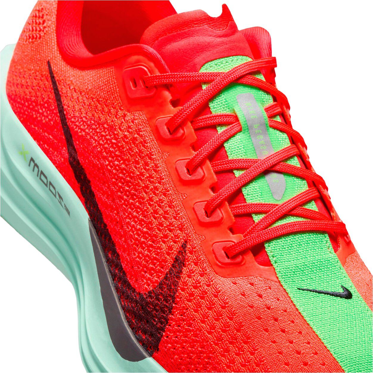 Pegasus Plus L&oslash;besko