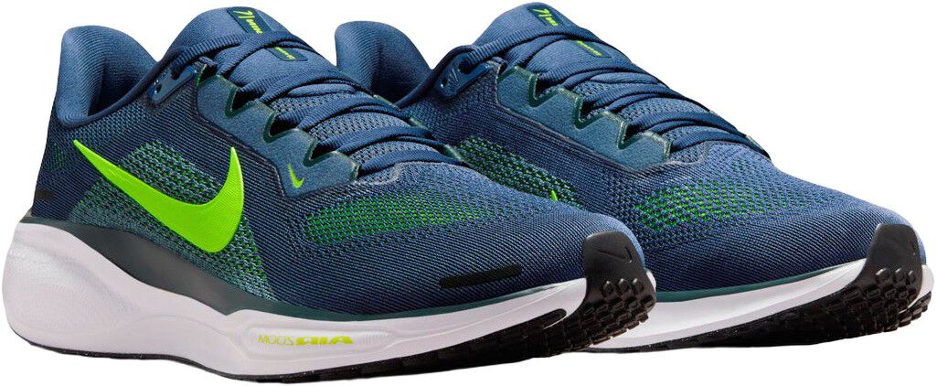 Pegasus 41 L&oslash;besko