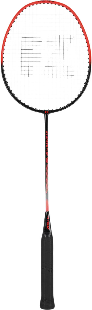 Play 500 Badmintonketcher