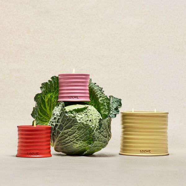 LOEWE Ivy Small Candle