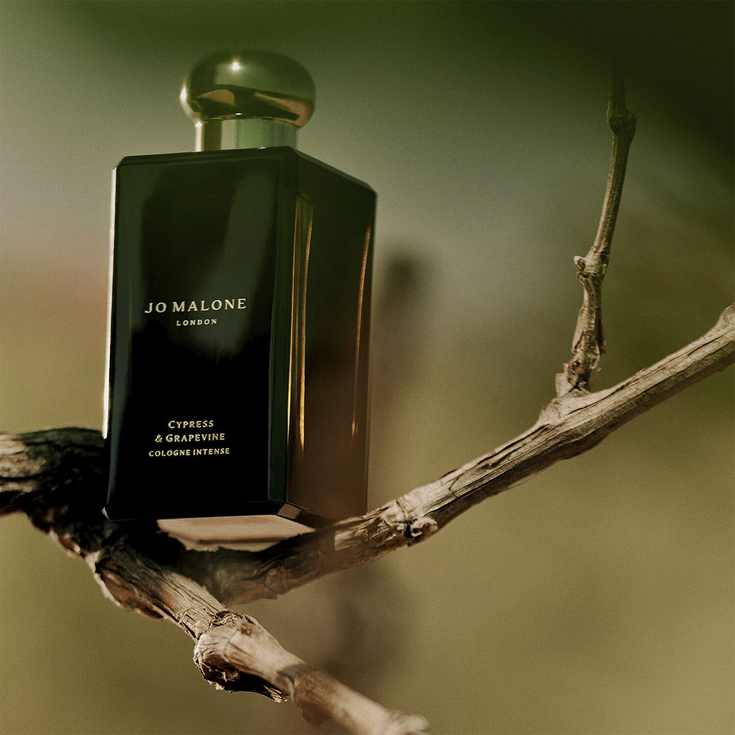 Cypres & Grapevine Cologne Intense