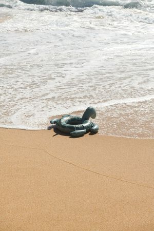 Phoebe Turtle Swim Ring  Faune gree