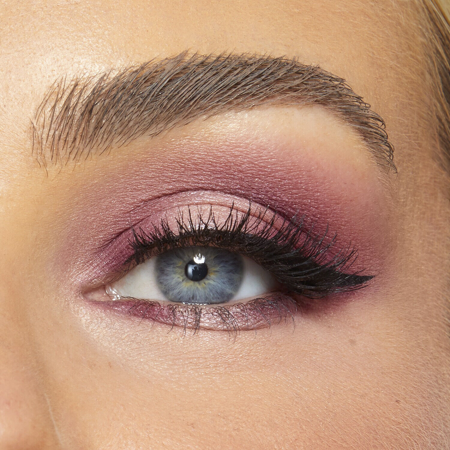 Iconic palette library Amazonian clay collector's set