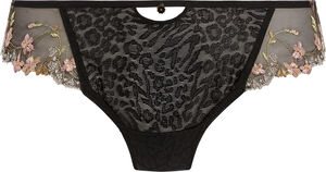 LOVE-HAZE BRIEF