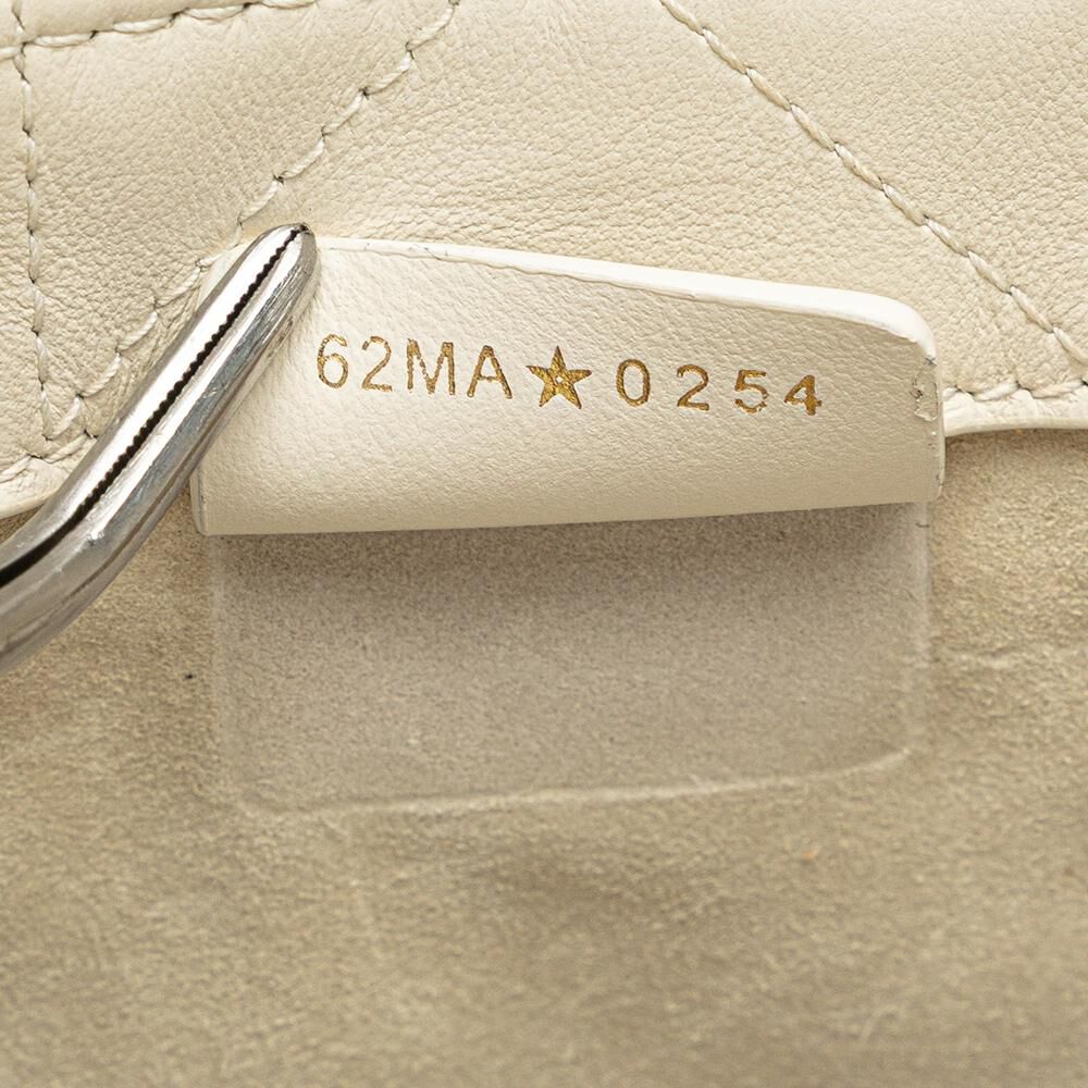 Dior Book Tote