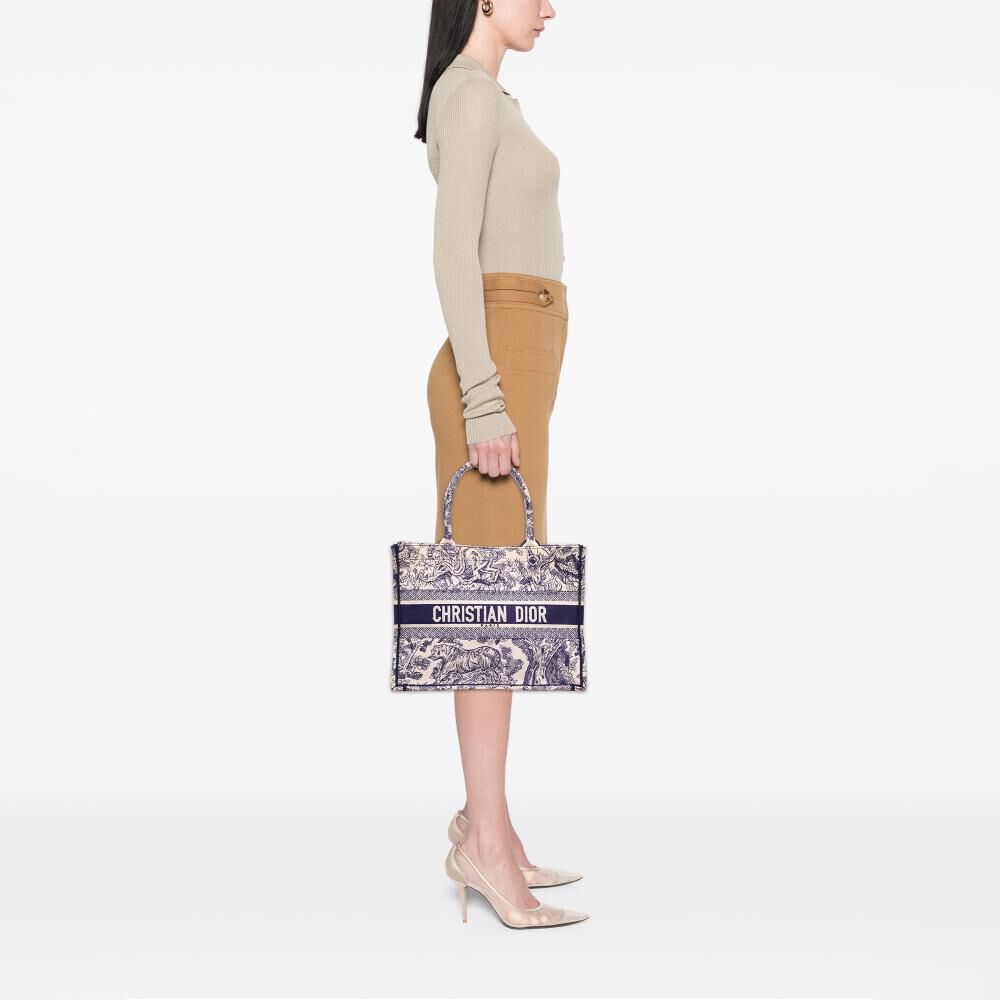 Dior Book Tote