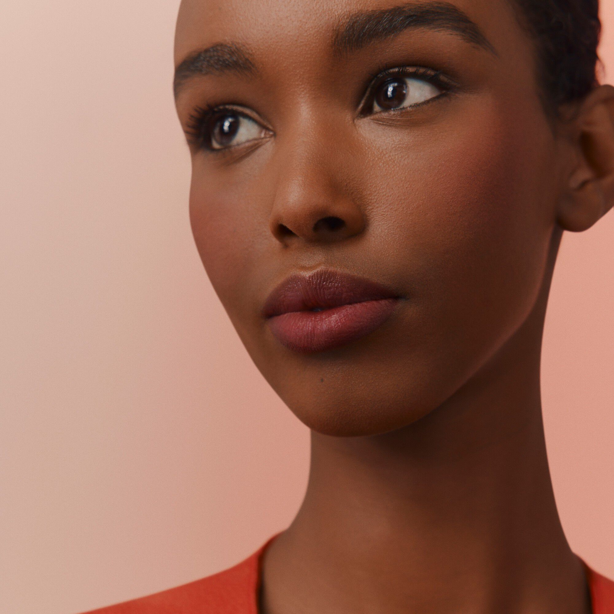 Rose Herm&egrave;s, Rosy Lip Enhancer