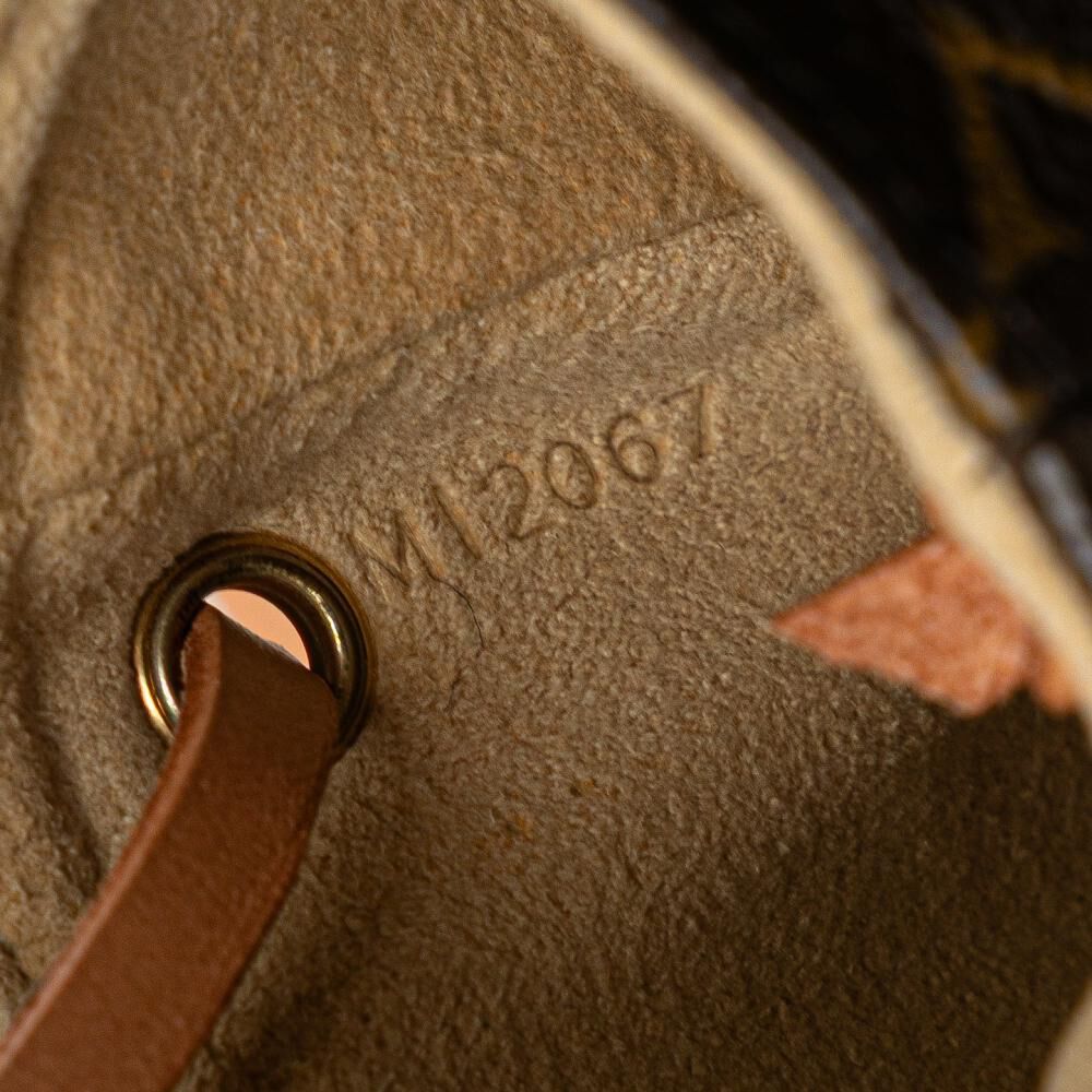 Louis Vuitton Shoulder Bags