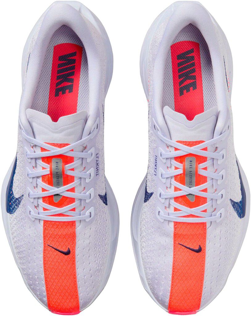 Pegasus Plus L&oslash;besko