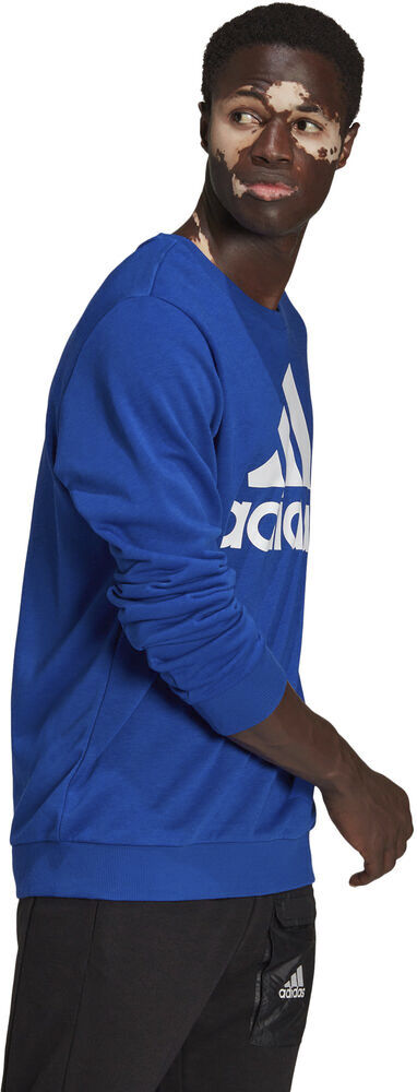 Essentials Big Logo sweatshirt