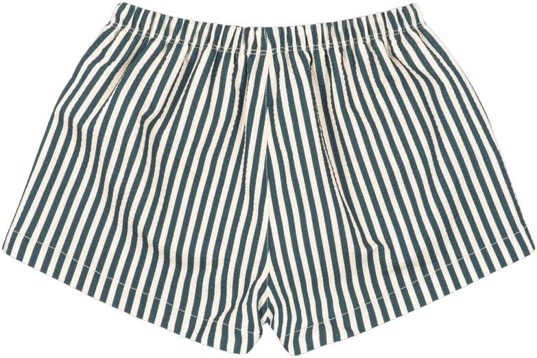 SEER ASNOU SHORT SWIMSHORTS GRS