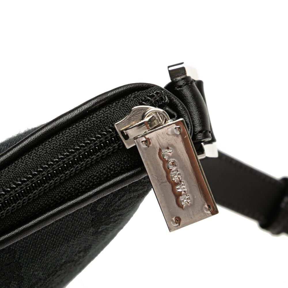 Loewe Crossbody Bag