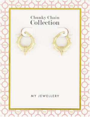 Chunky earrings