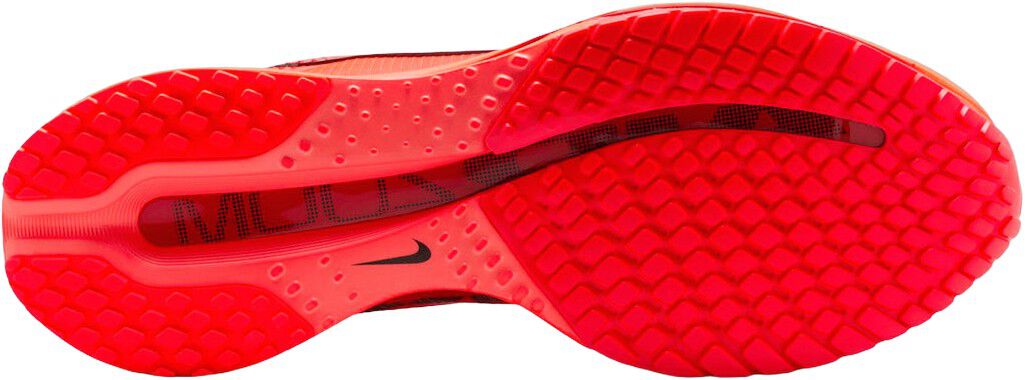 Pegasus Premium L&oslash;besko