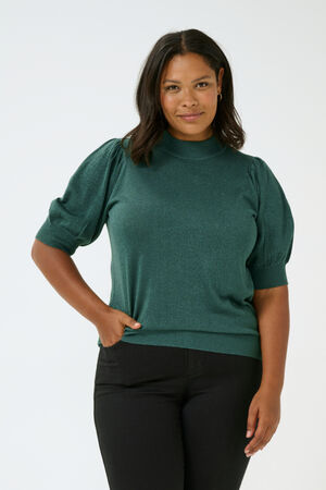 KCregitta Turtleneck Pullover