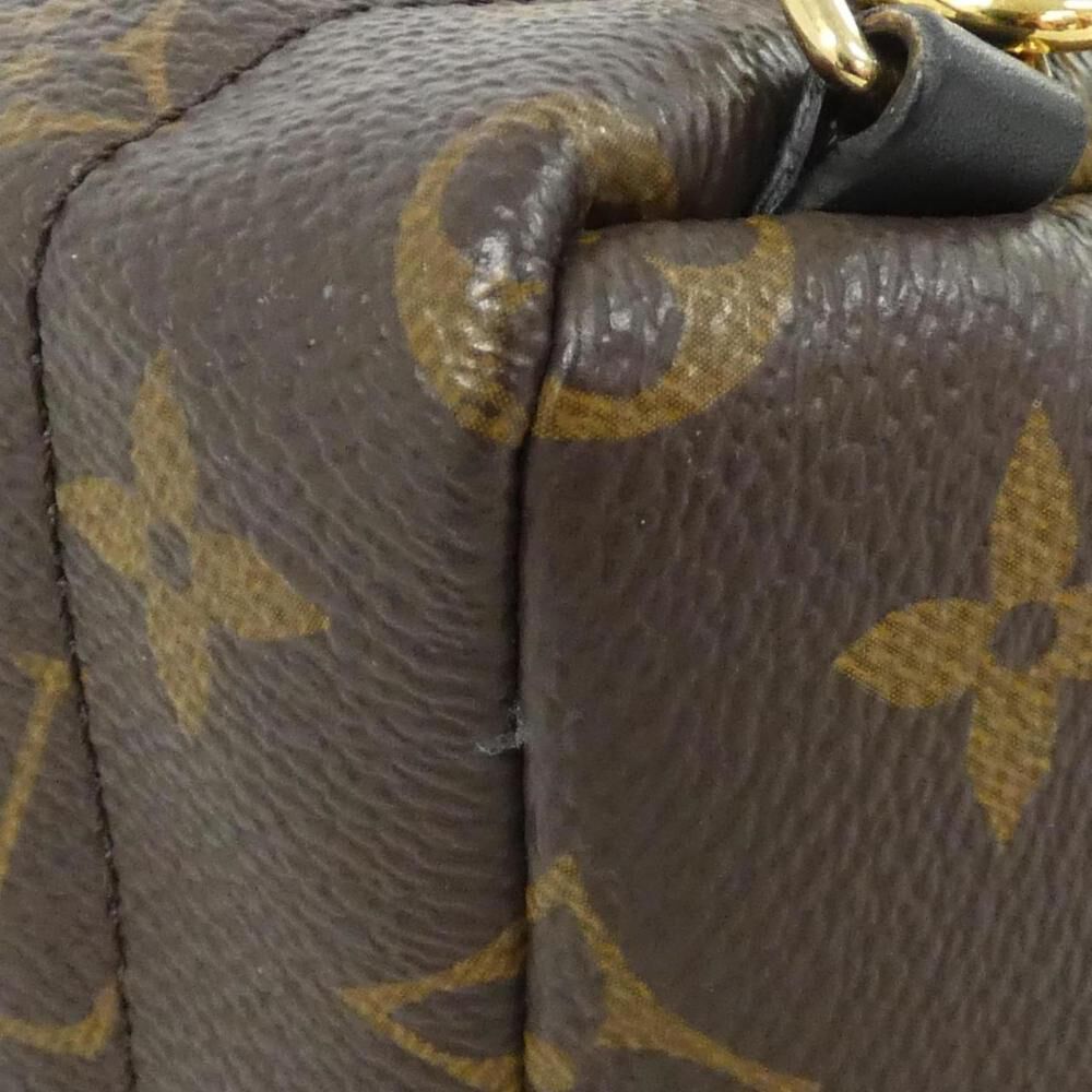 Louis Vuitton Palm Springs