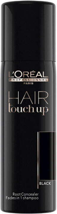 L'Oréal Professionnel Hair Touch Up Black