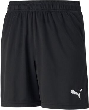 Teamrise Training Shorts