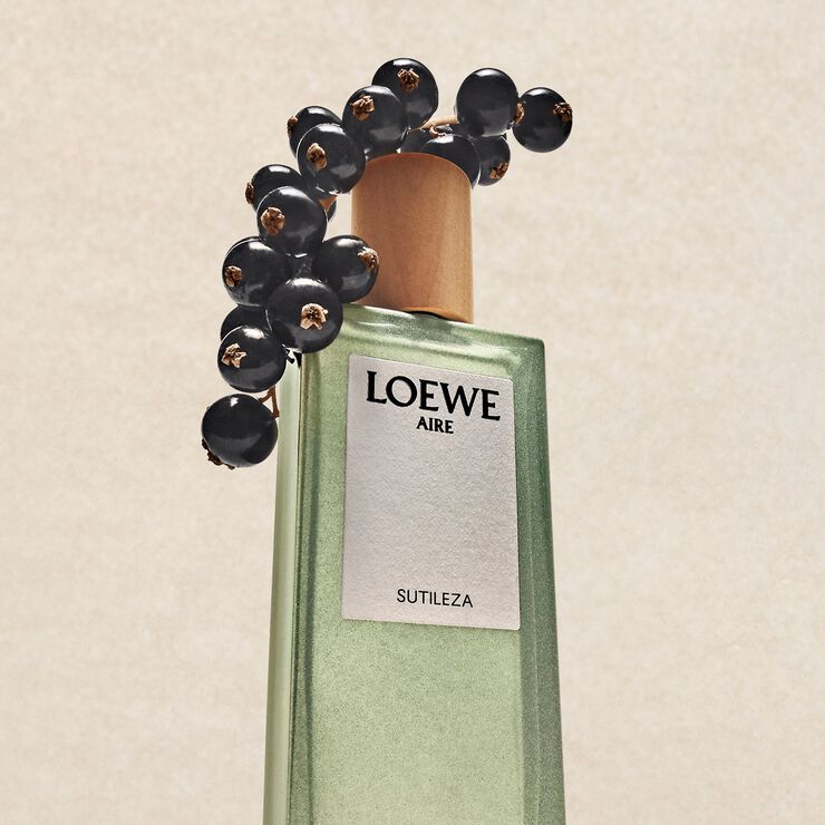 LOEWE Aire Sutileza EDT 100 ml