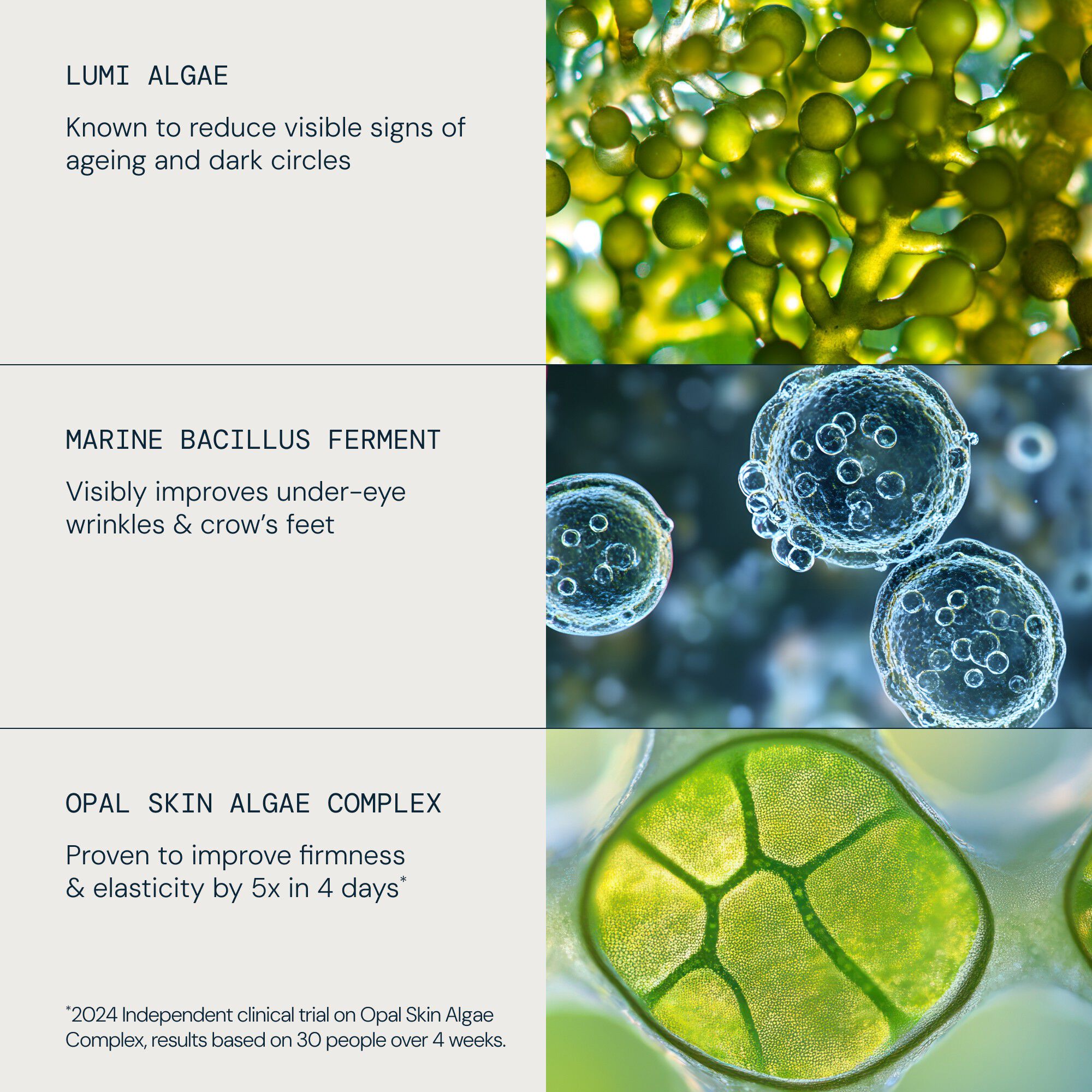 Pro-Collagen Future Restore Eye Ser