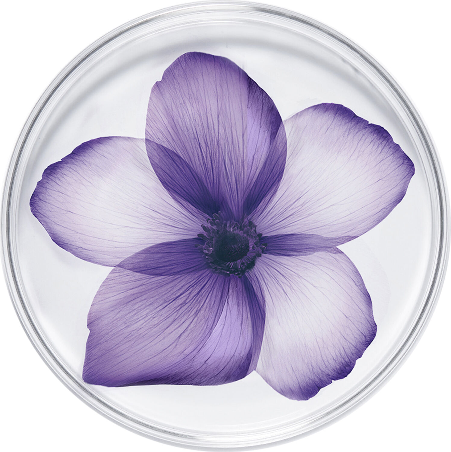 R&eacute;nergie Multi-Lift Night Cream