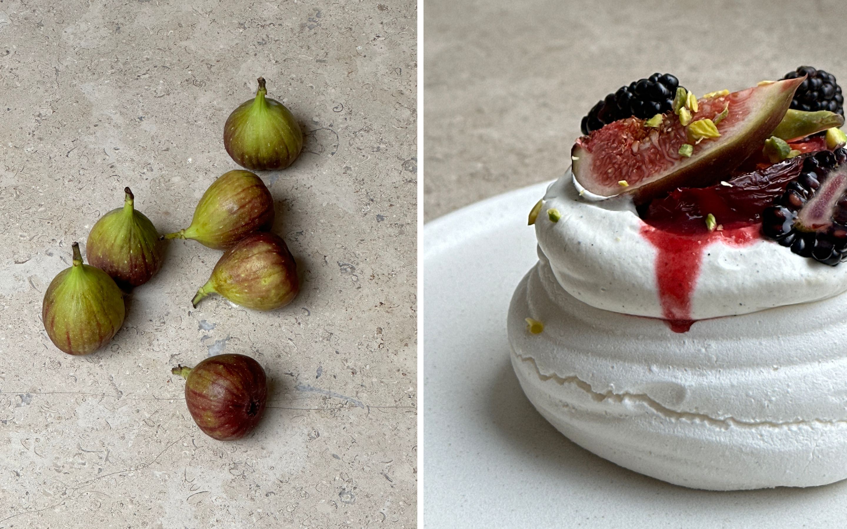 figner og pavlova