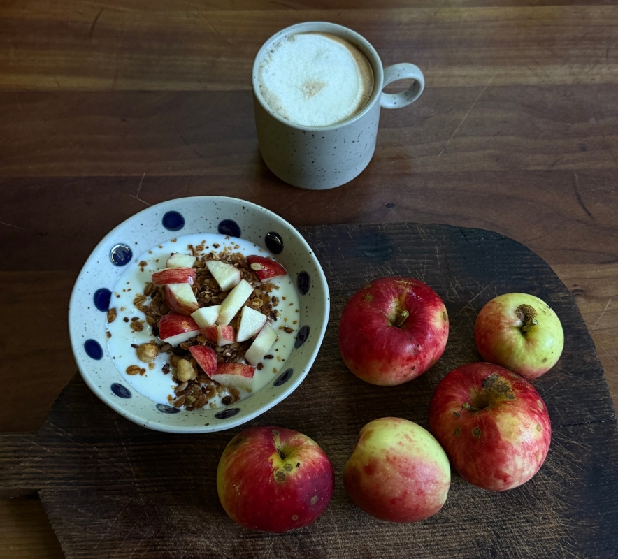 skål med yogurt i og æbler