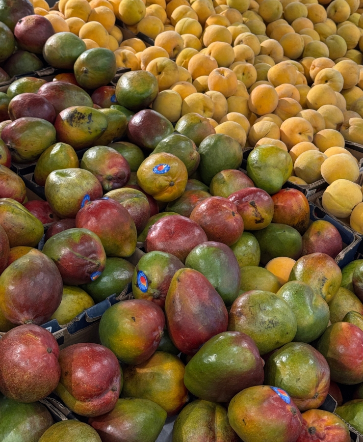 mangoer