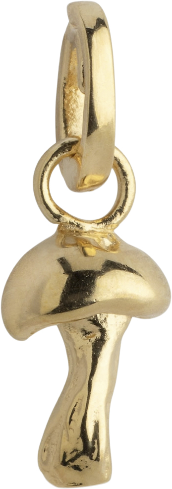 Charm Adventurous Mushroom