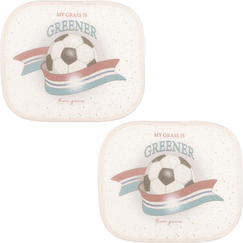 2 Pack CAR Sunshade