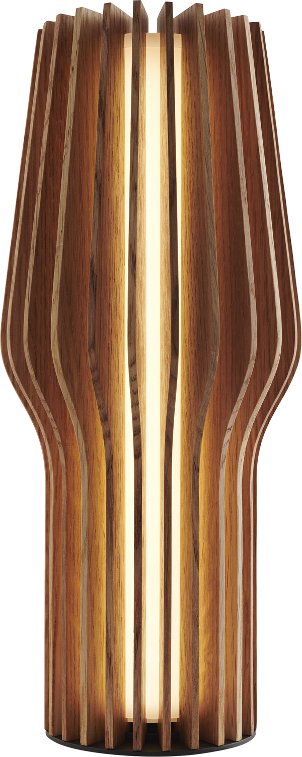 Radiant Led Batt. Lampe Oak