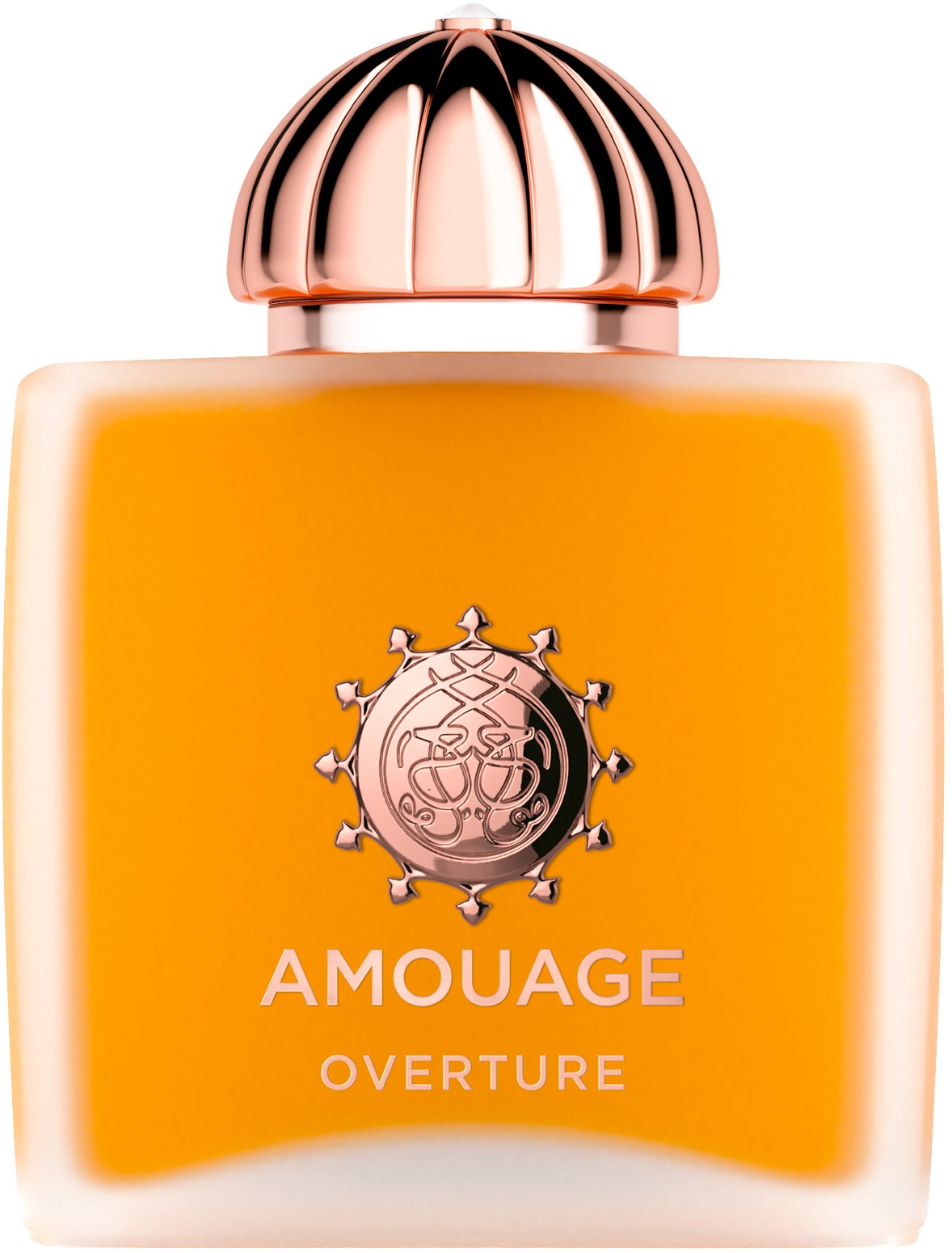 Amouage Overture Woman EDP 100ml