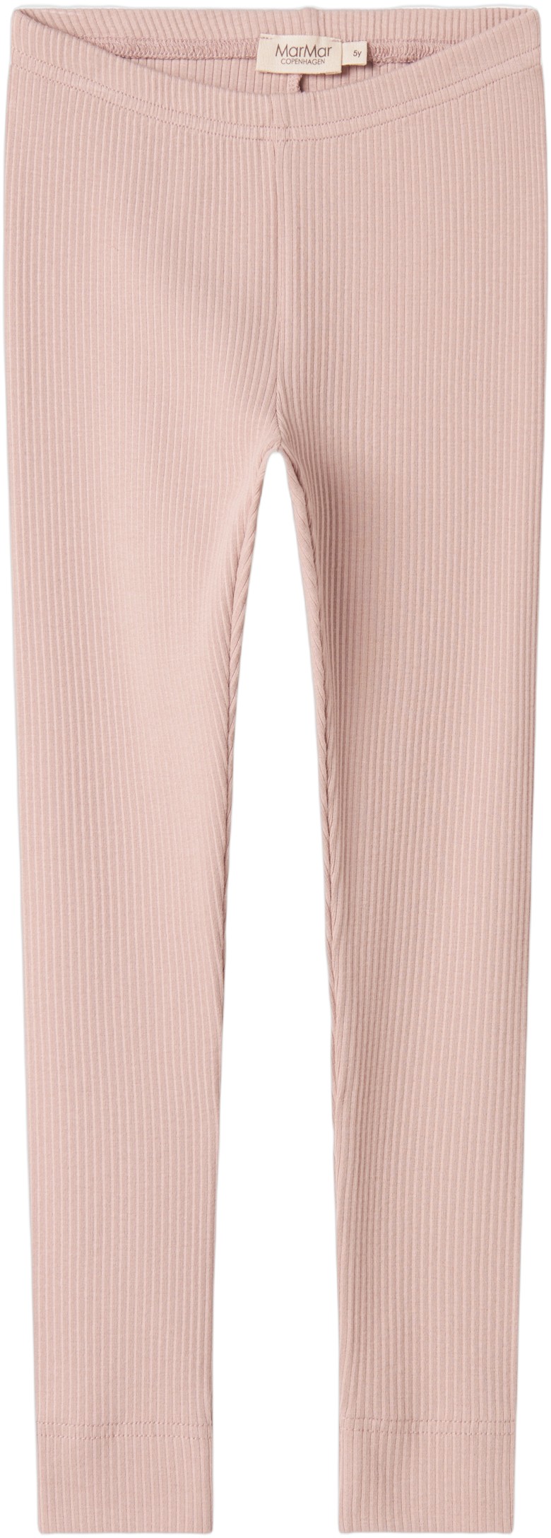 Leg