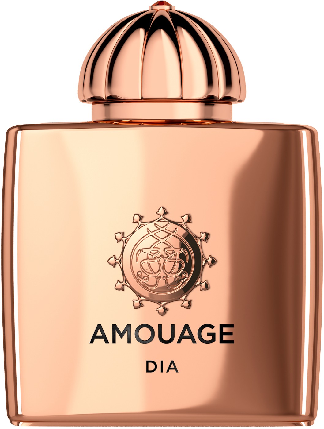 Amouage DIA Woman EDP 100 ML