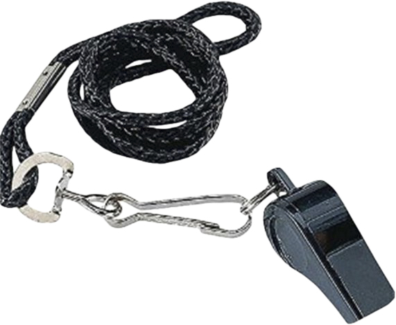 Whistle Lanyard 101