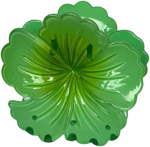 Hawaii Flower Big
