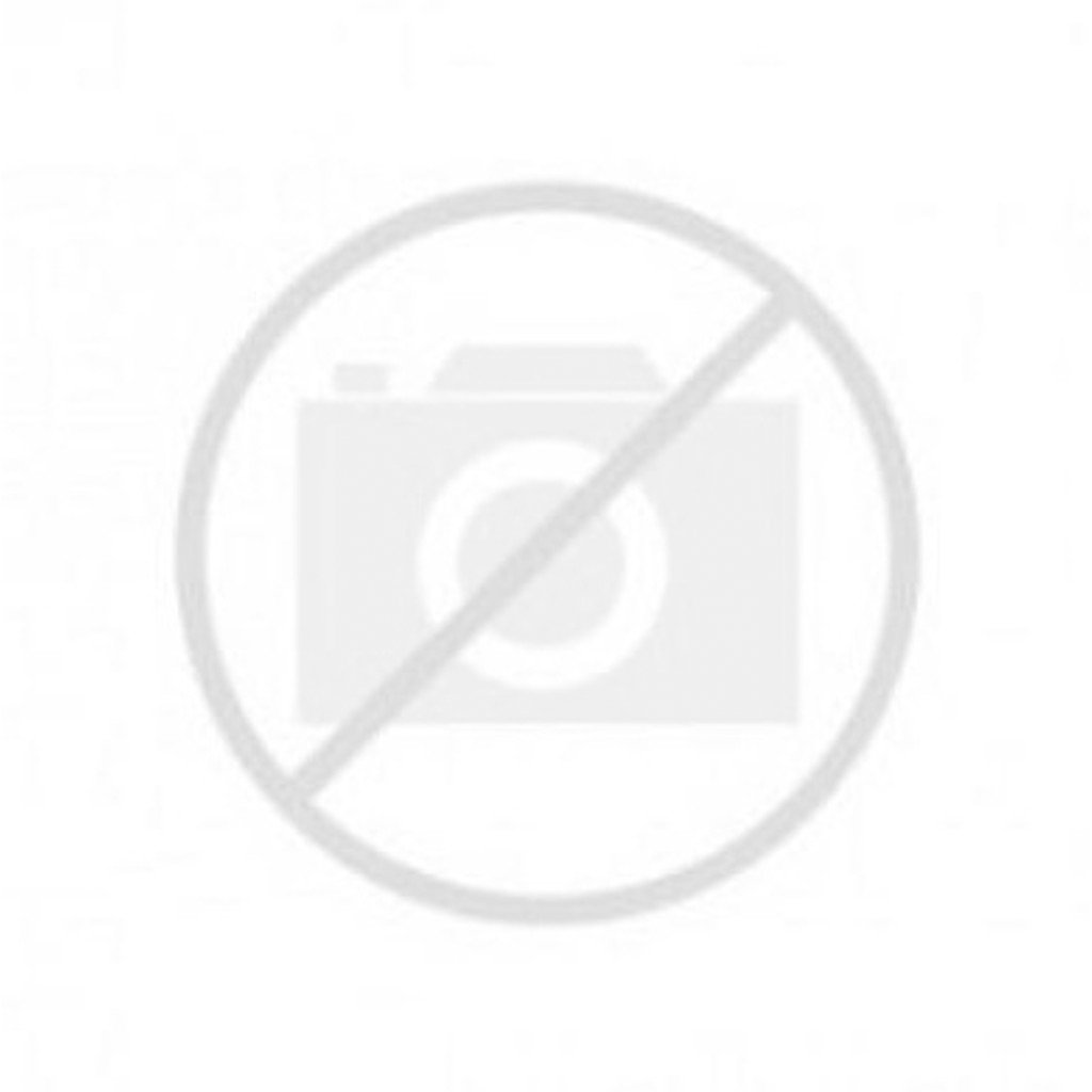 Trwbrown Jeans Wash Palm Spring