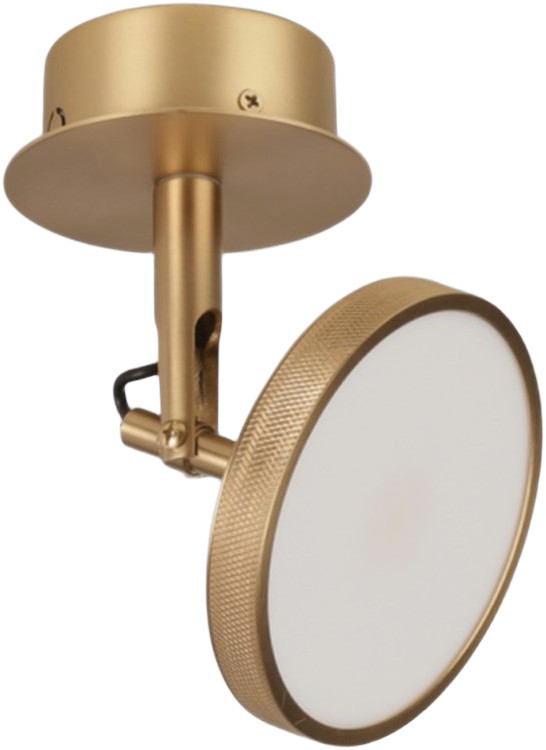 Asteria Short Spot Lamp