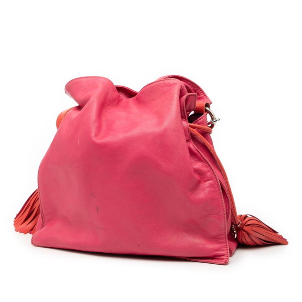 Loewe Bucket Bag
