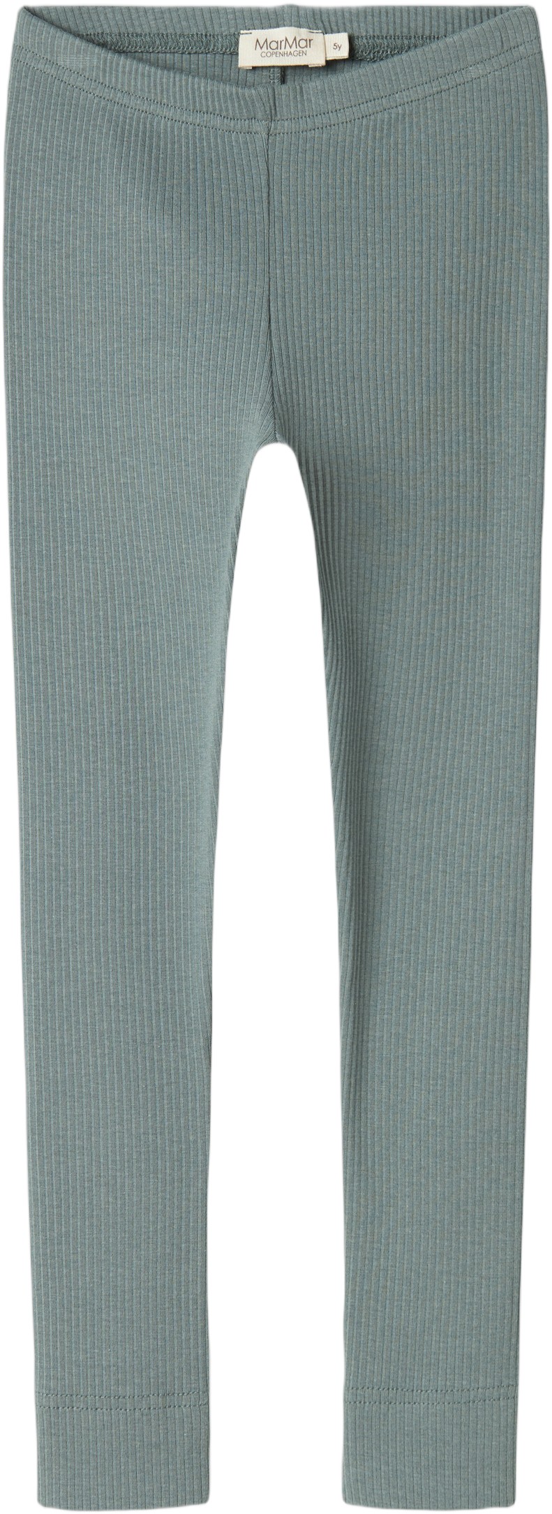 Leg