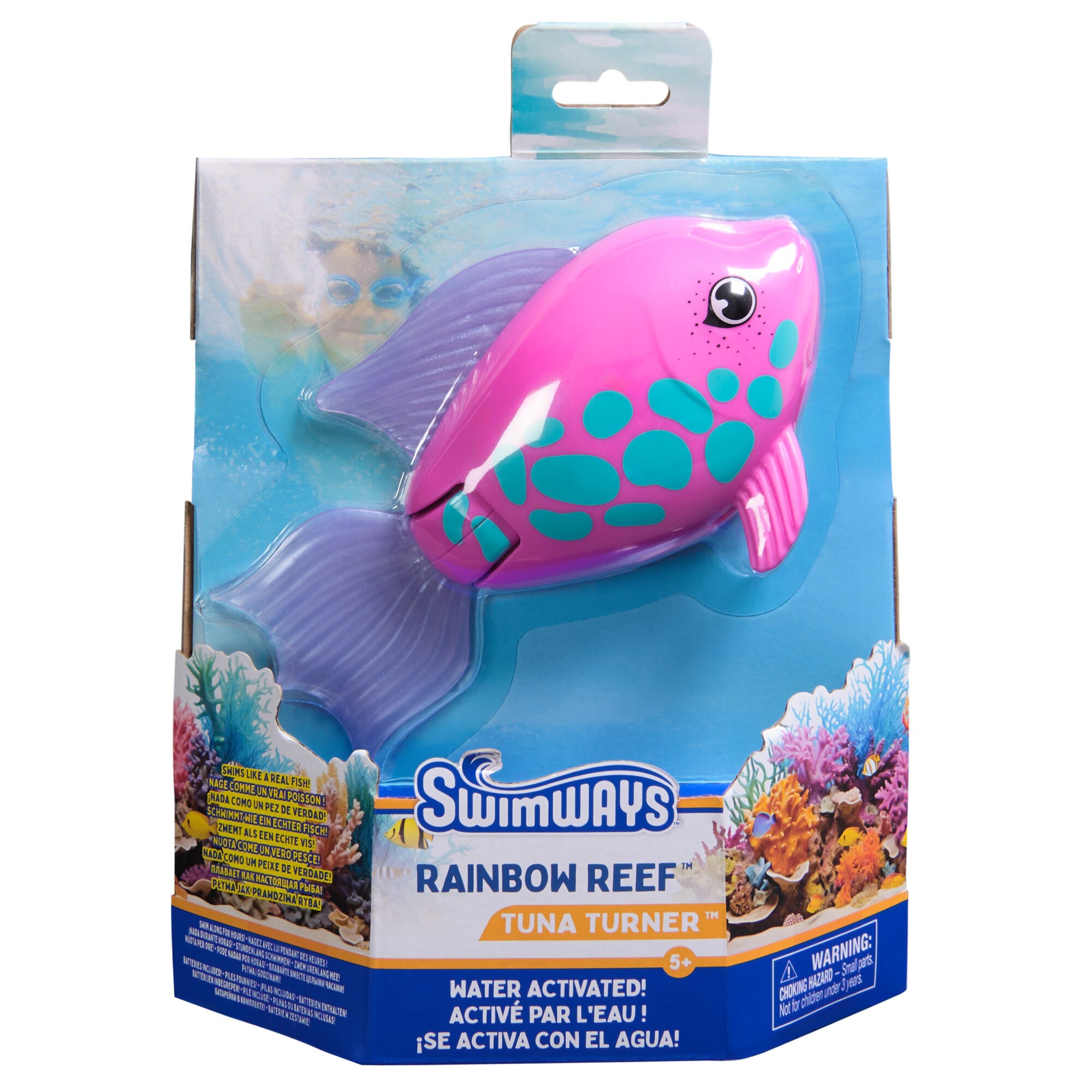 Rainbow Reef Fish Rainb