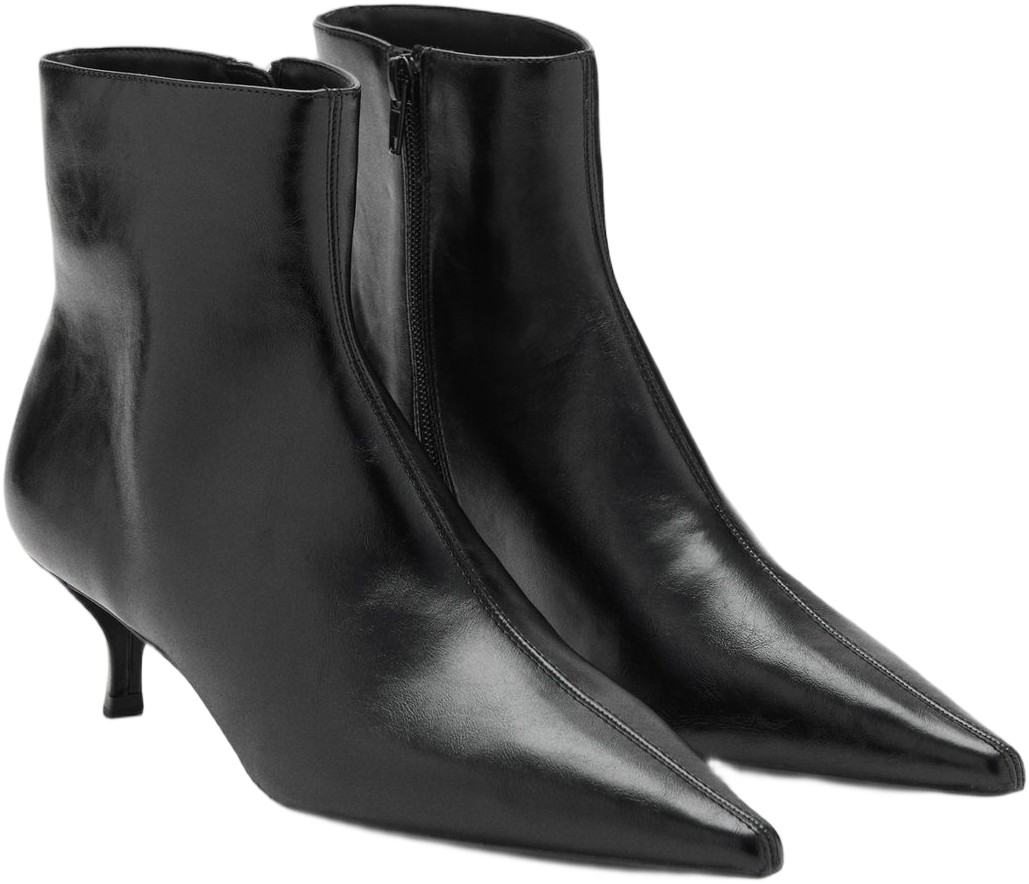 Botin Bird