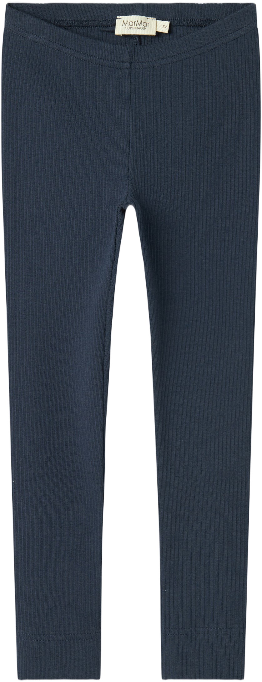 Leg