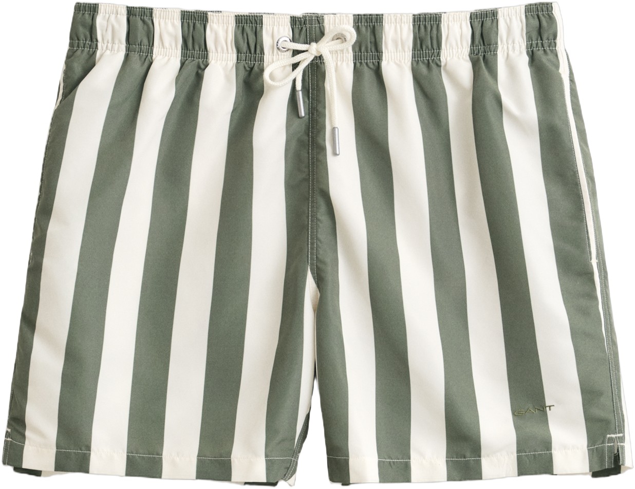 Block Striped Swim Shorts